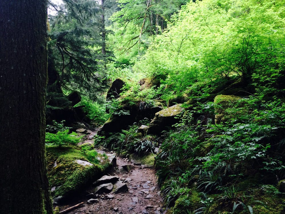 FullSizeRender-41-scaled