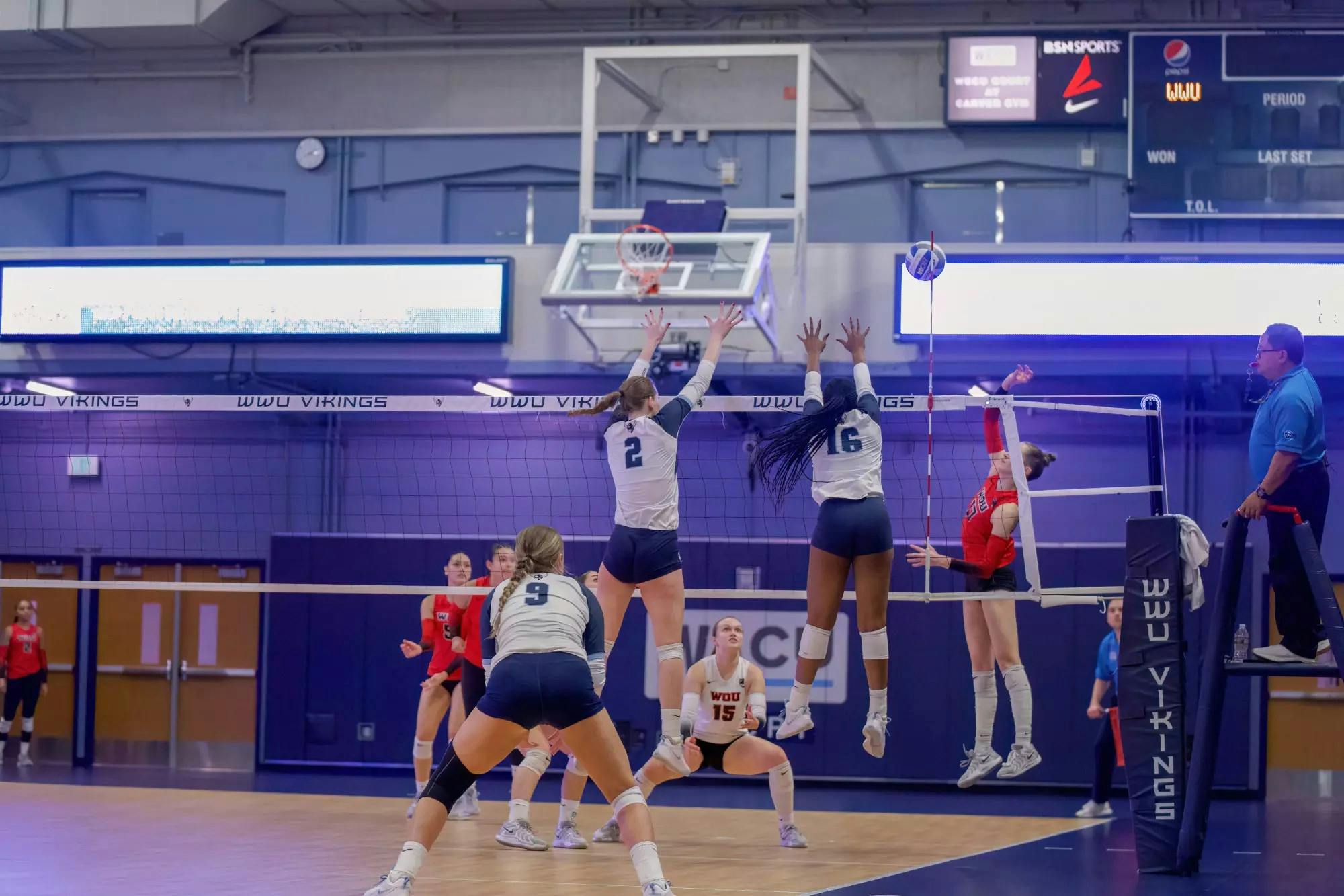 gallery_image (1).jpg