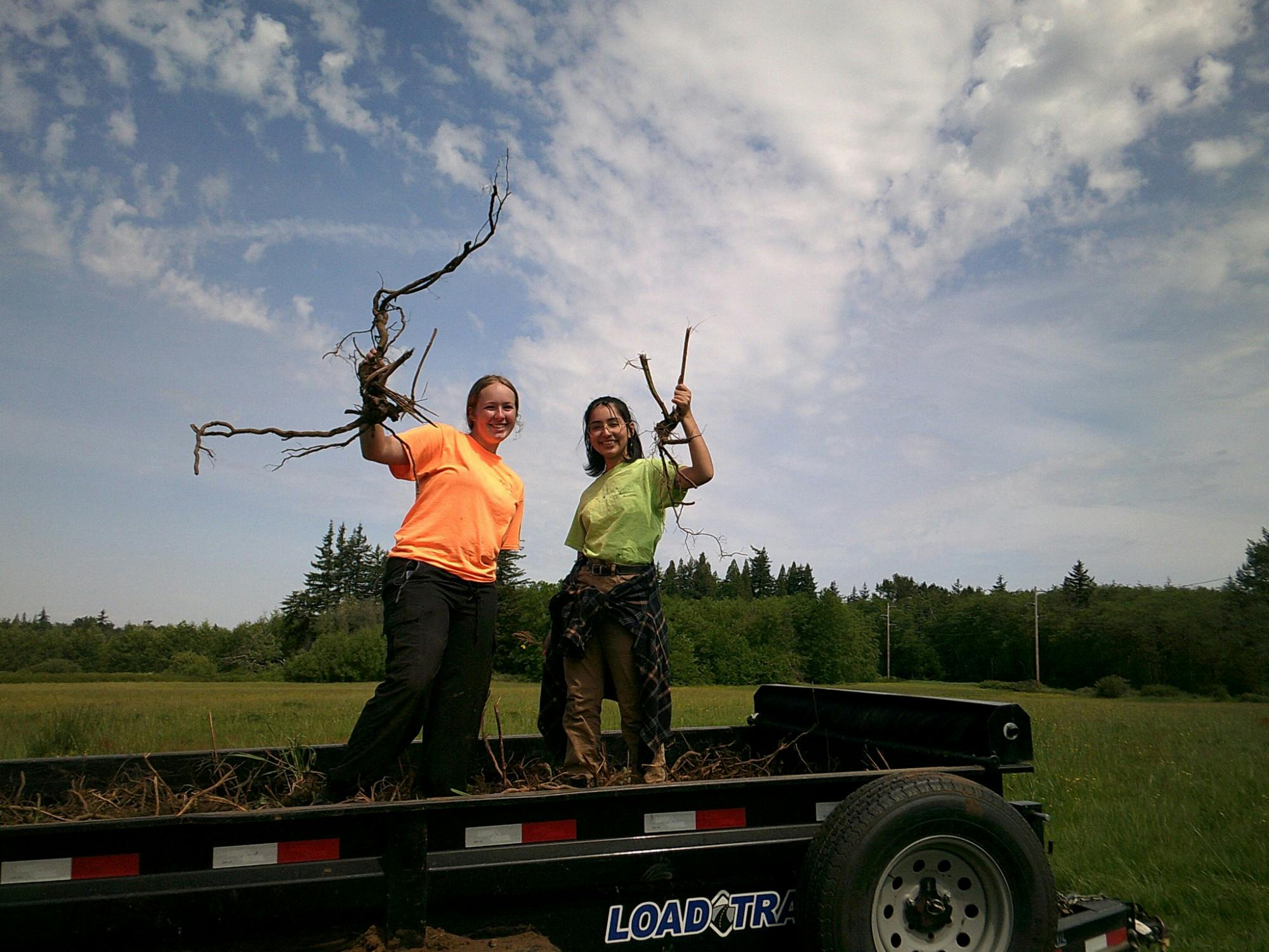 (1) WWU unveils two new salmon restoration certificates