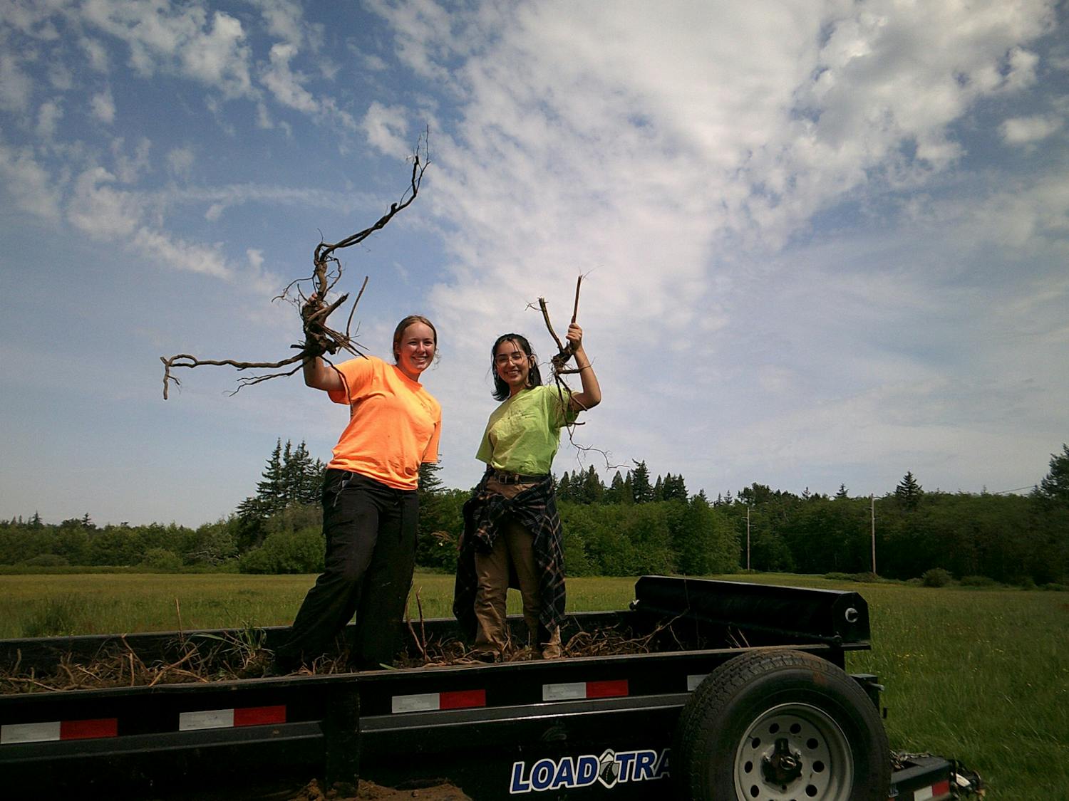 (1) WWU unveils two new salmon restoration certificates