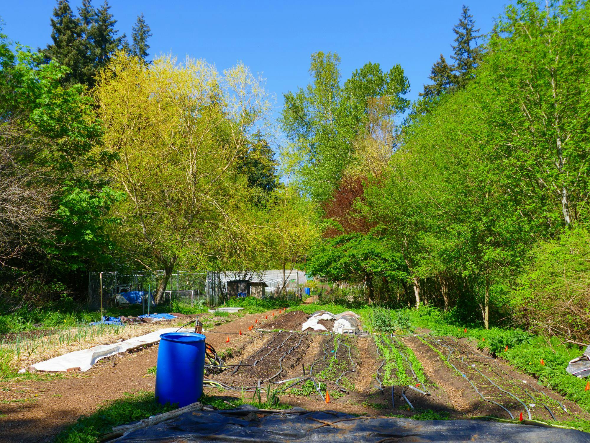 OutbackFarmStory-3.jpg