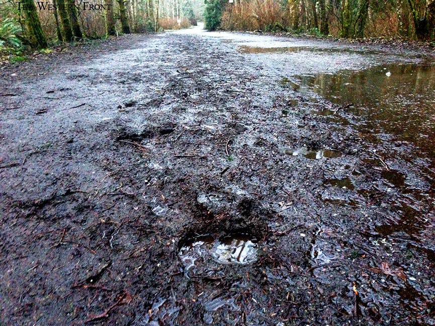 muddy-padden