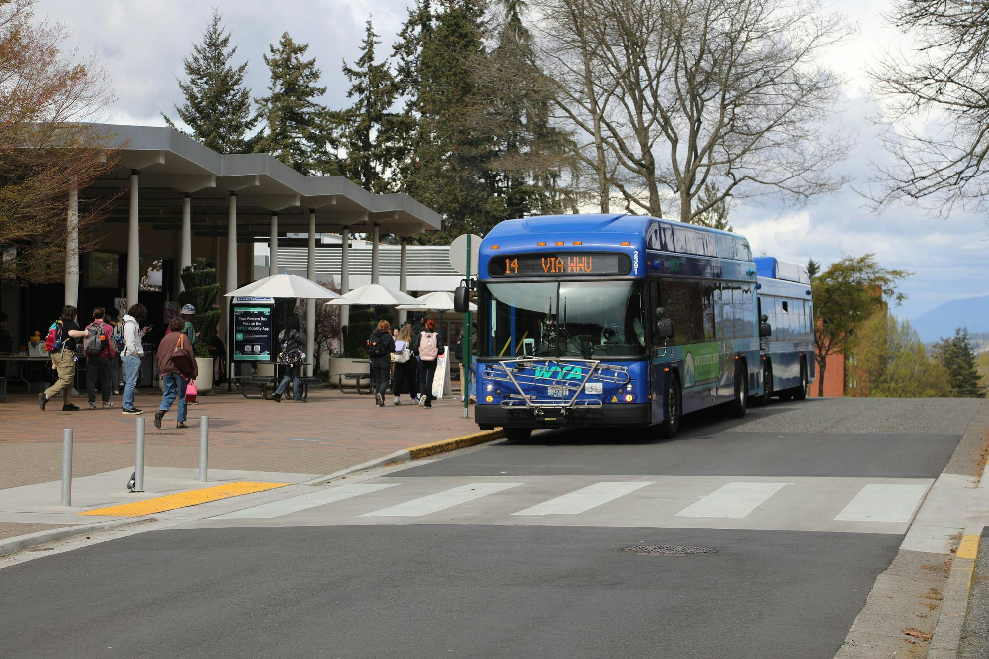 students wait for bus.JPG
