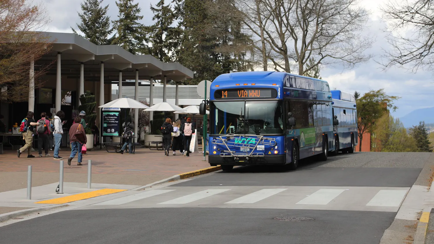 students wait for bus.JPG