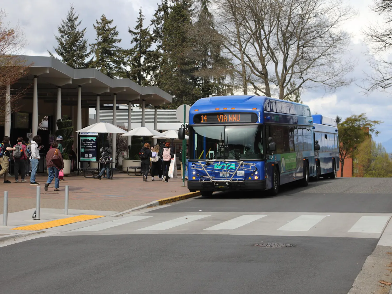 students wait for bus.JPG