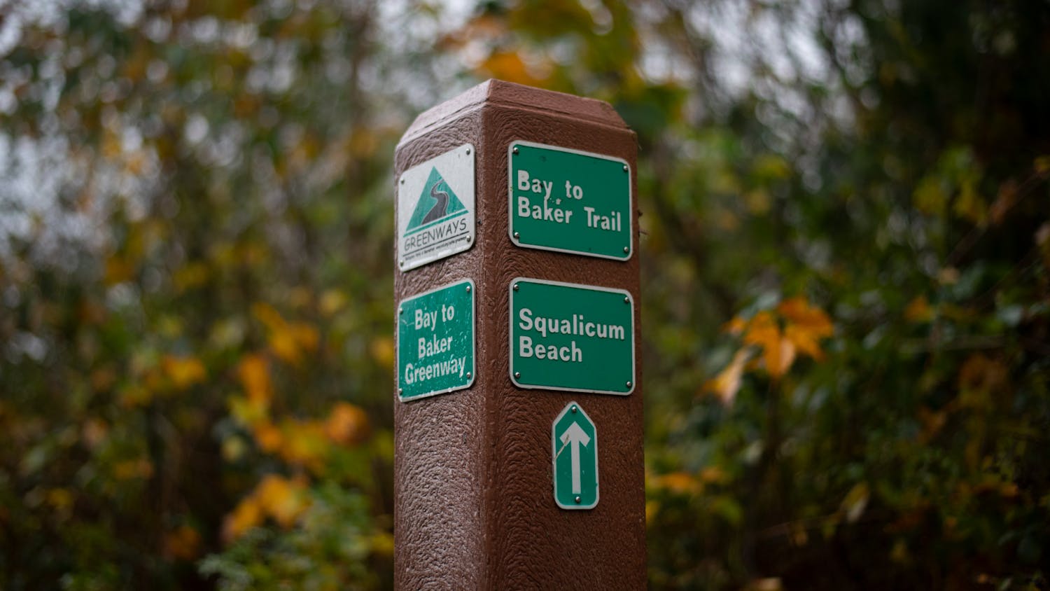 BAY TO BAKER TRAIL
