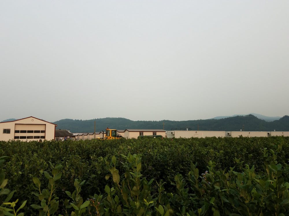 not-a-great-shot-but-shows-the-living-areas-scaled