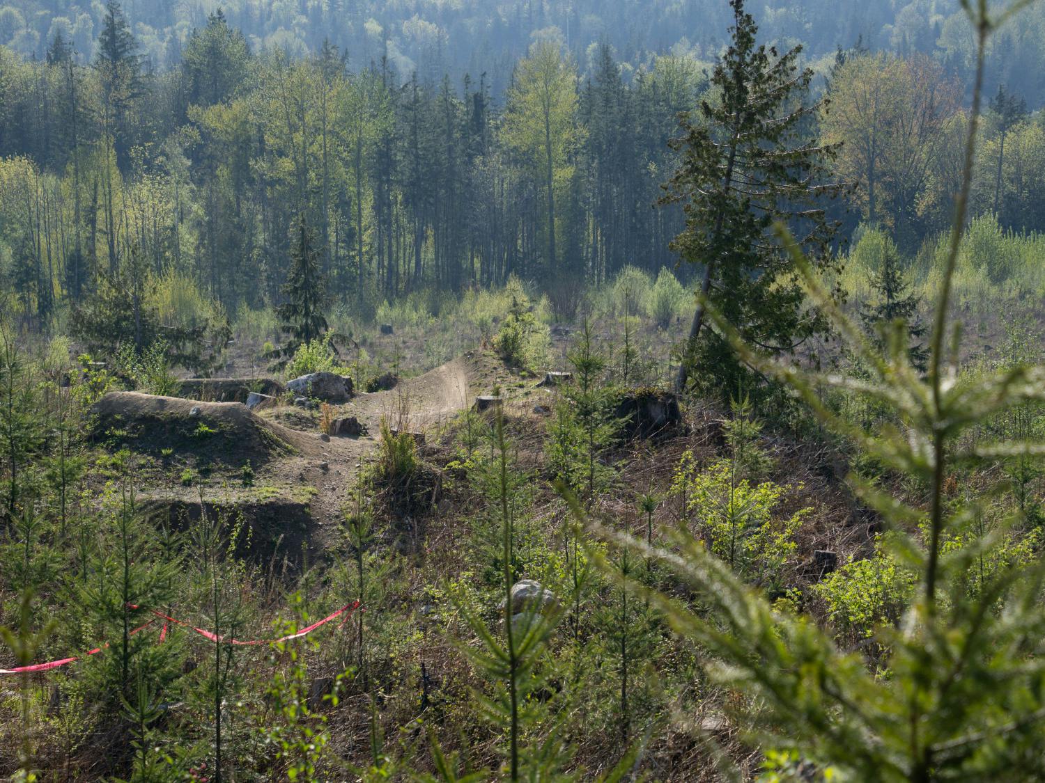 A spring guide to Bellingham mountain biking (embed included)