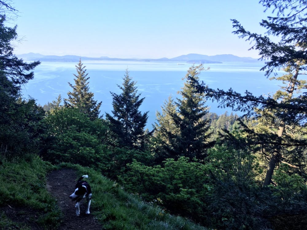 fragrance-lake-view-point