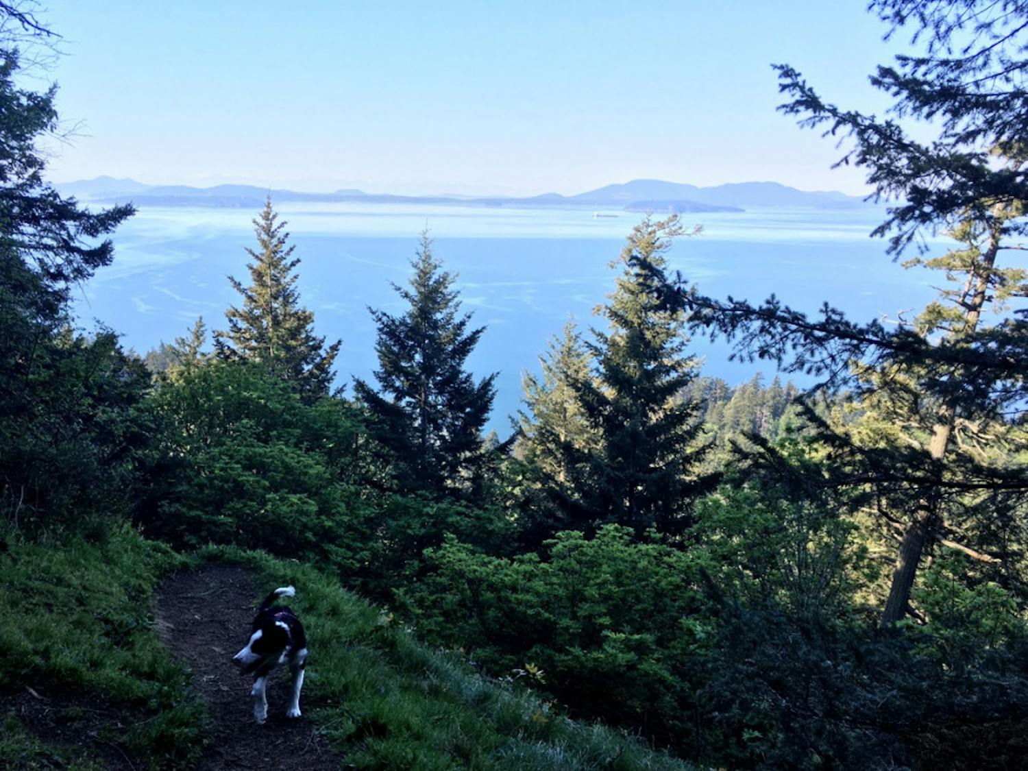 fragrance-lake-view-point