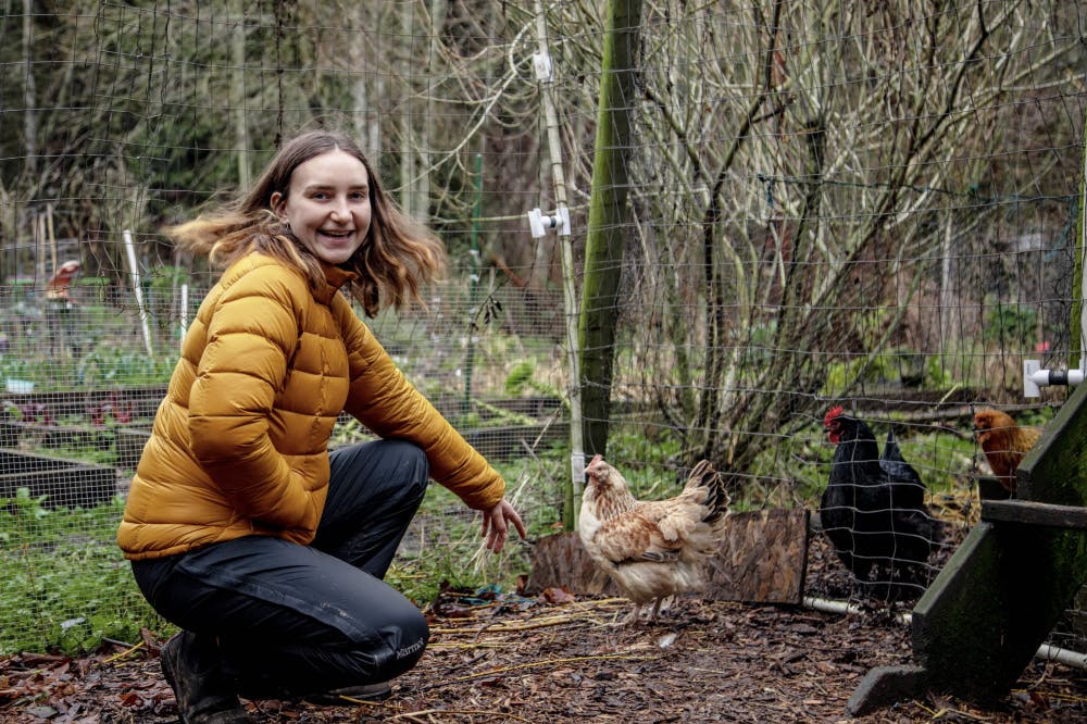 Screen-Shot-2020-01-27-at-4.25.22-PM