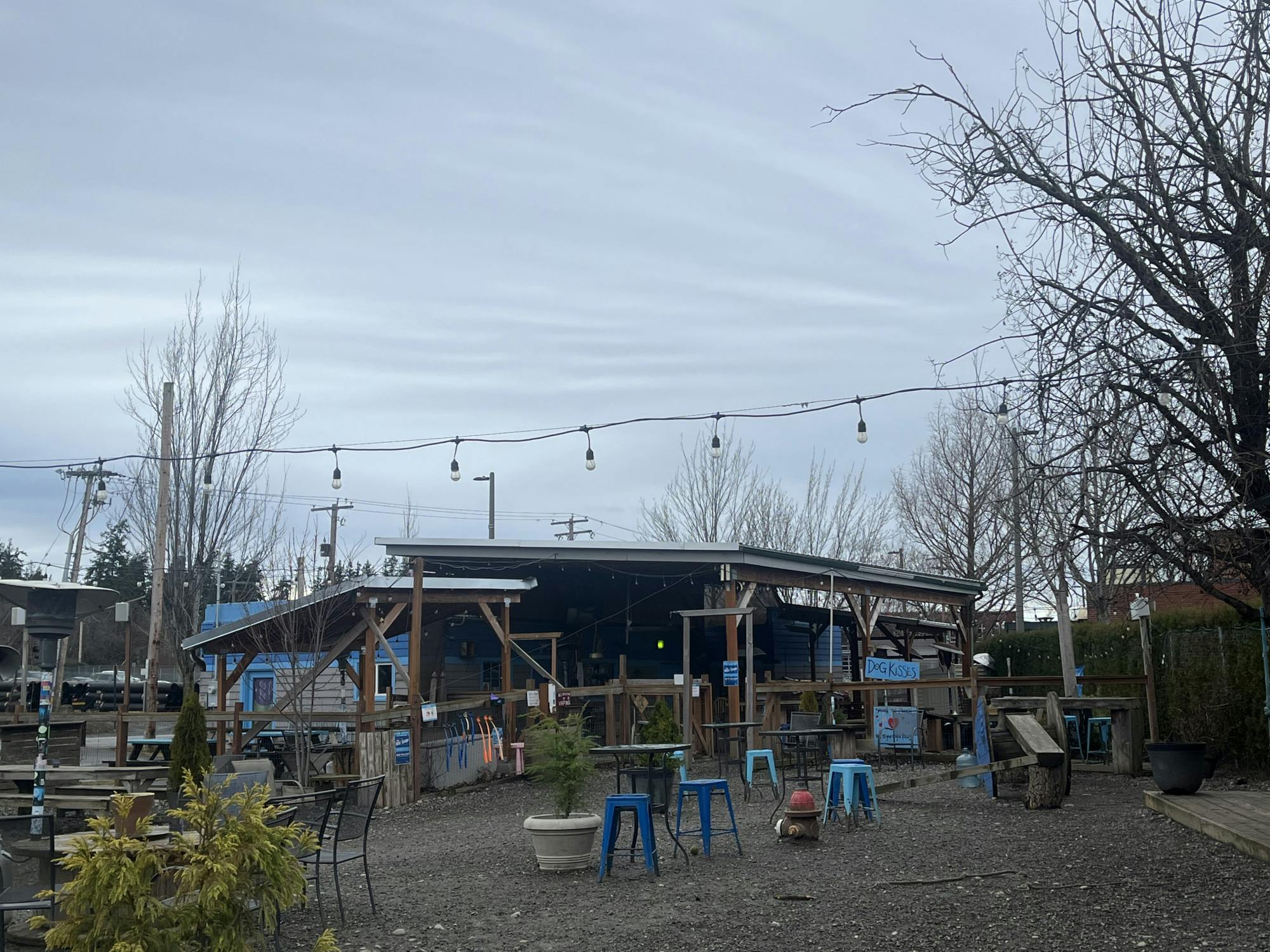 paws for a beer adoptions 