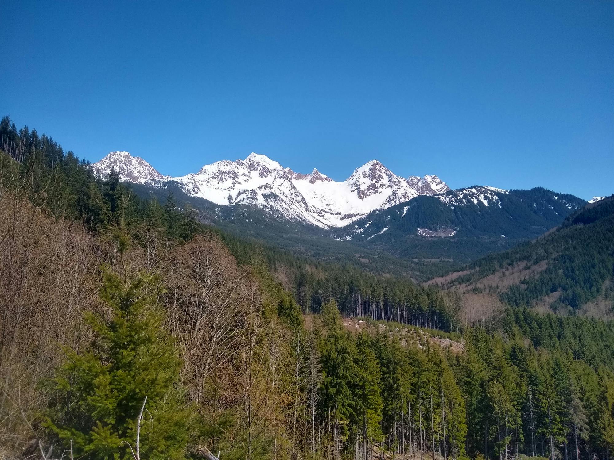 Whatcom Land Trust Purchase (1) MAIN PHOTO.jpeg