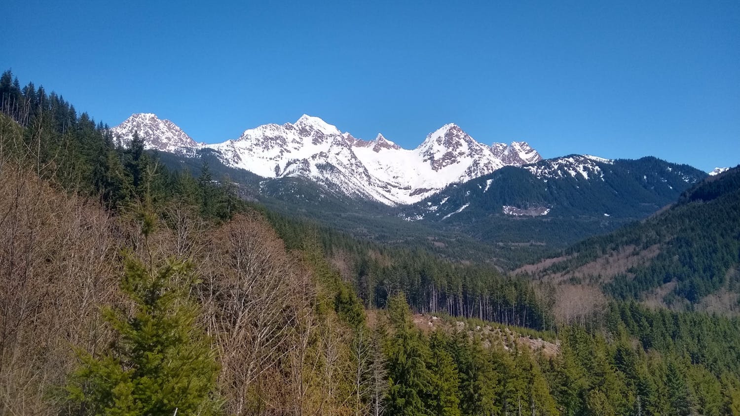 Whatcom Land Trust Purchase (1) MAIN PHOTO.jpeg