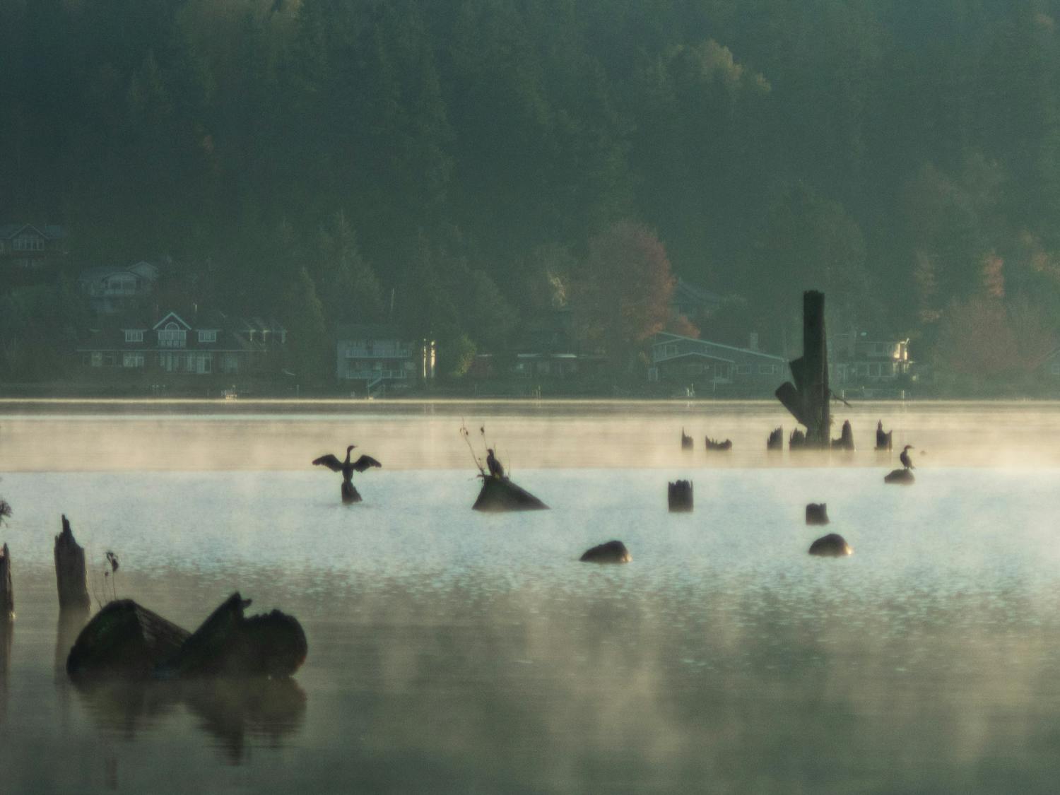 Primeval Lake Whatcom
