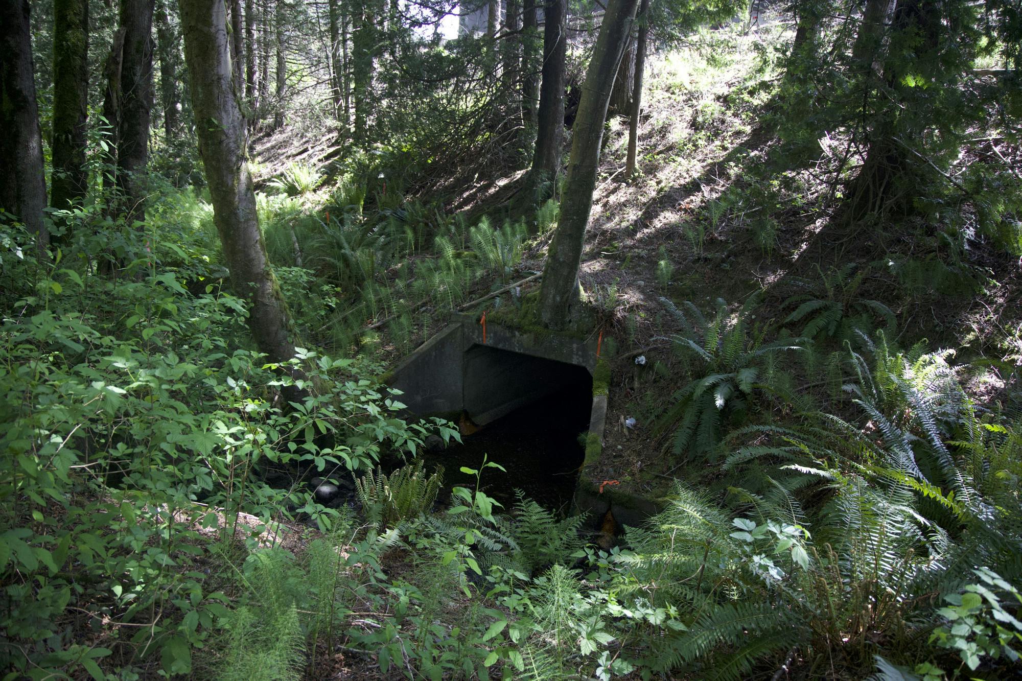 Fish Culvert at Unnamed Tributary to Lake Creek  copy.jpg