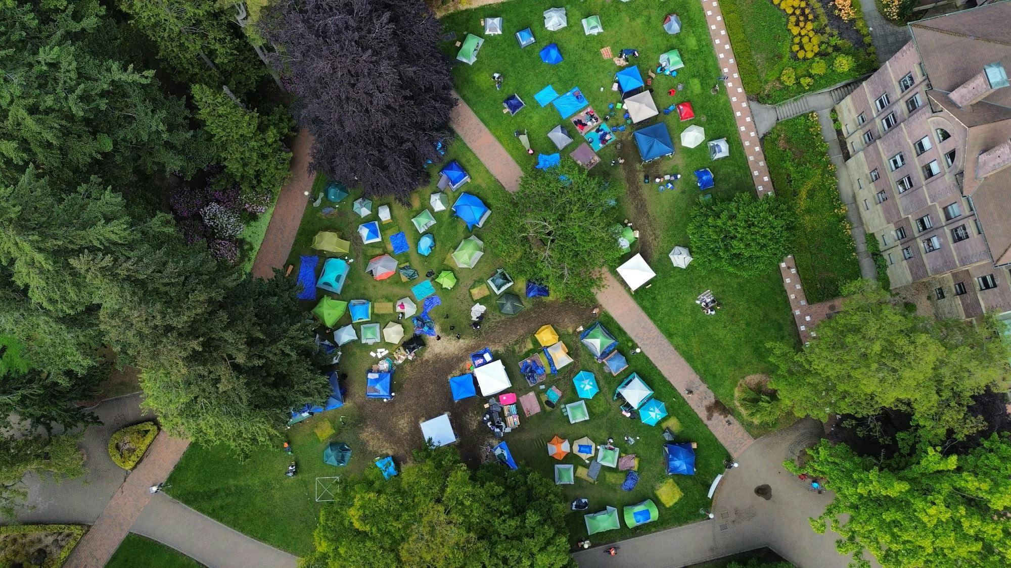 Divest Apartheid, Brown 3.JPEG