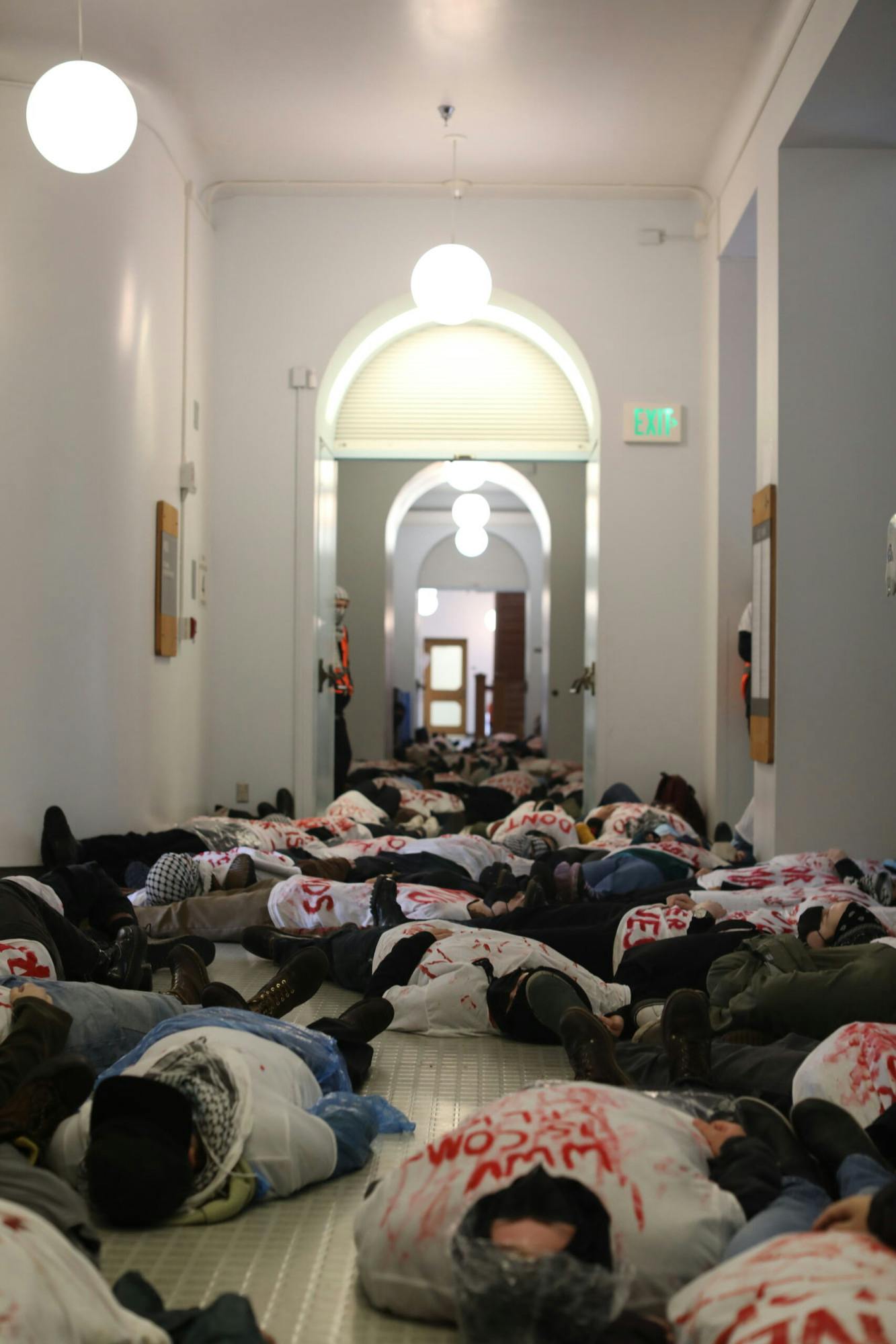 Divest Apartheid, Brown 2.JPEG