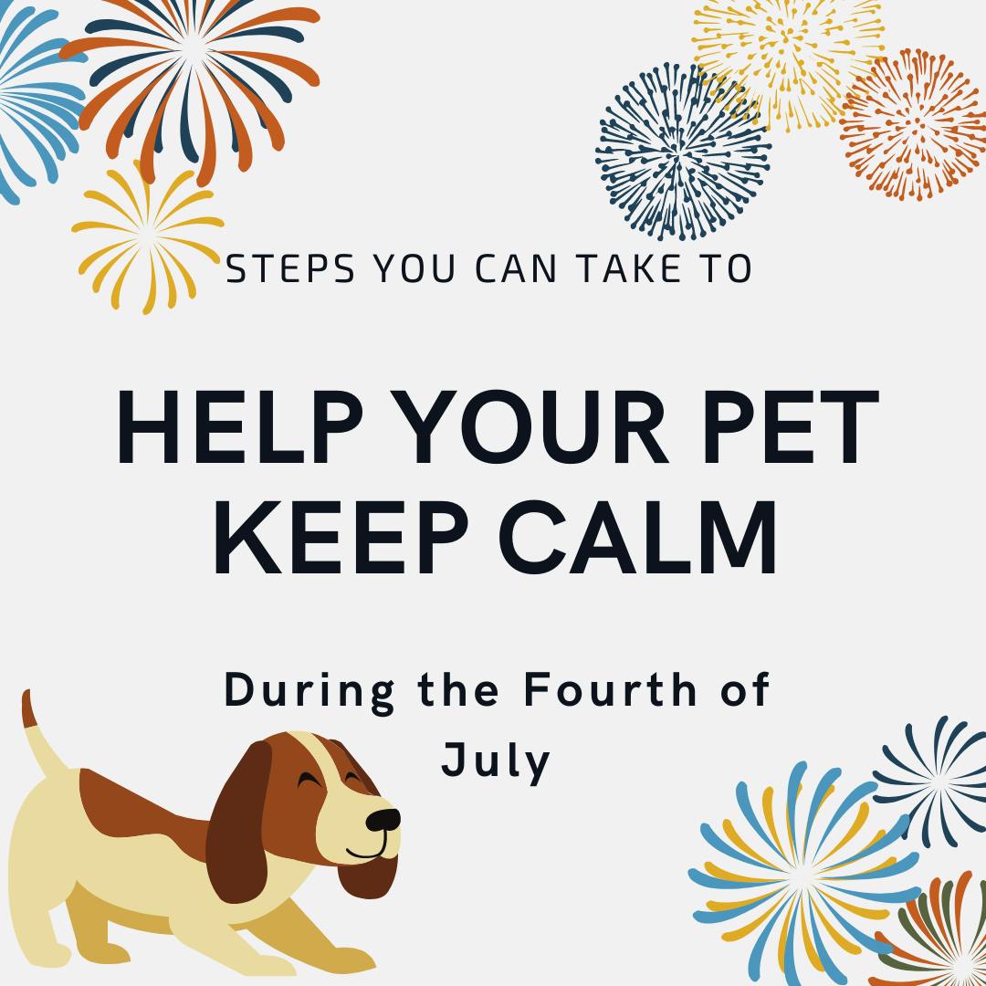 How to help your Dog keep Calm.png