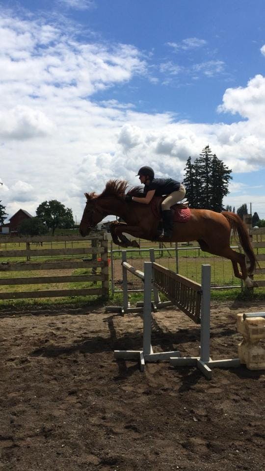 10381990_10201855335576051_2282270640165321811_n