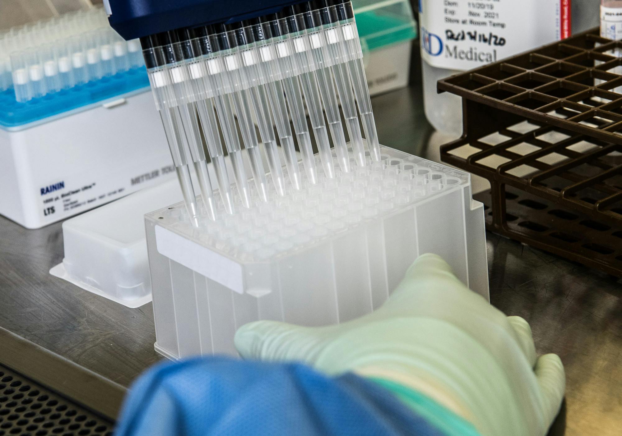 Omicron Ontario Brief 