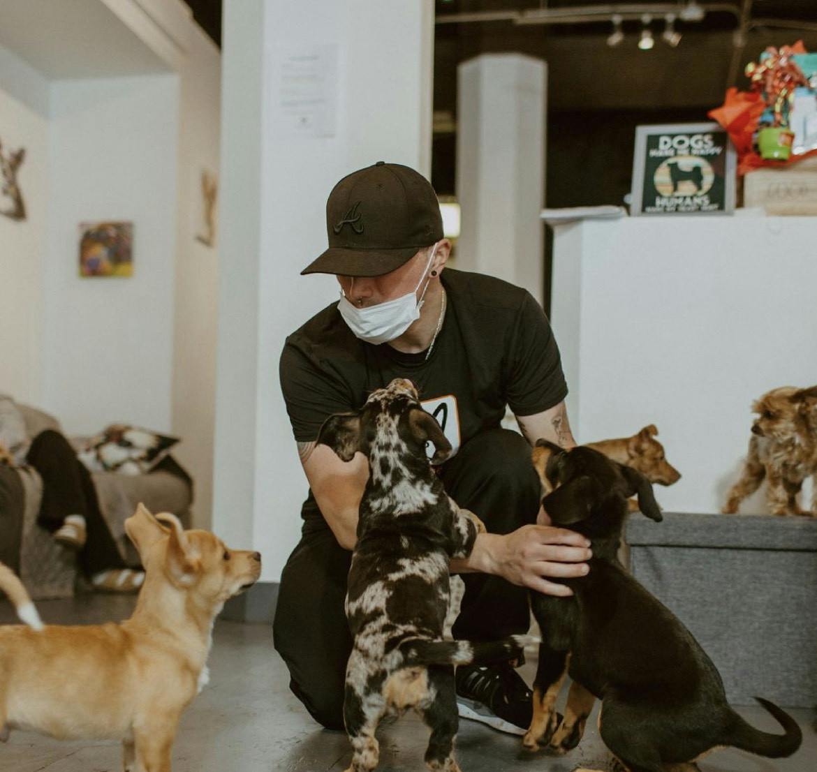 Are you my human dog lounge - 1 of 2