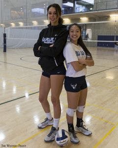 vball-print-online-240x300