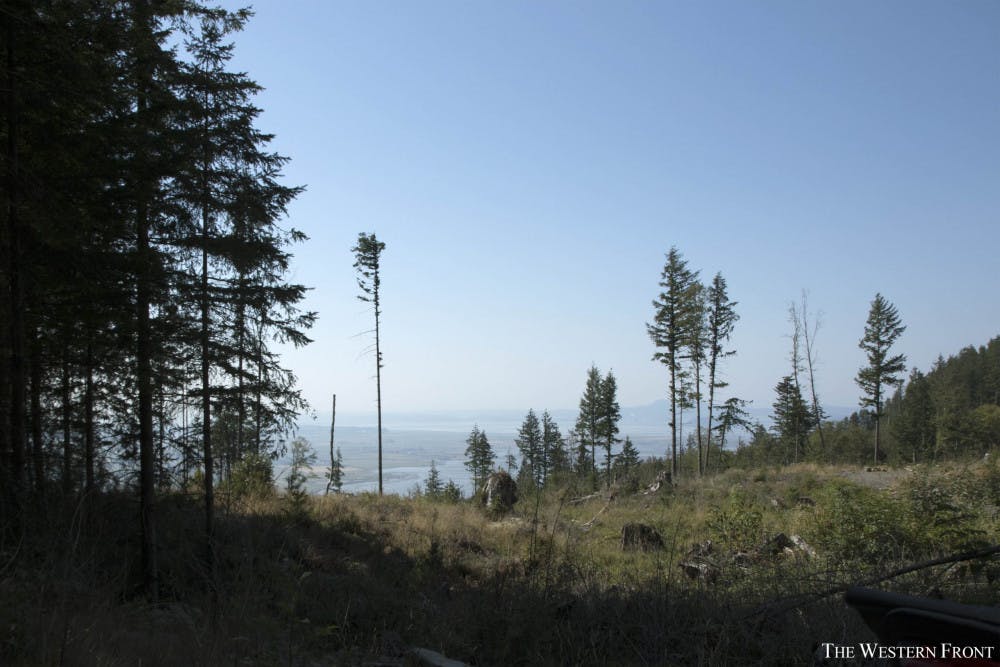 ODome3OnlineC-scaled