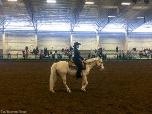 equestrian1-300x225