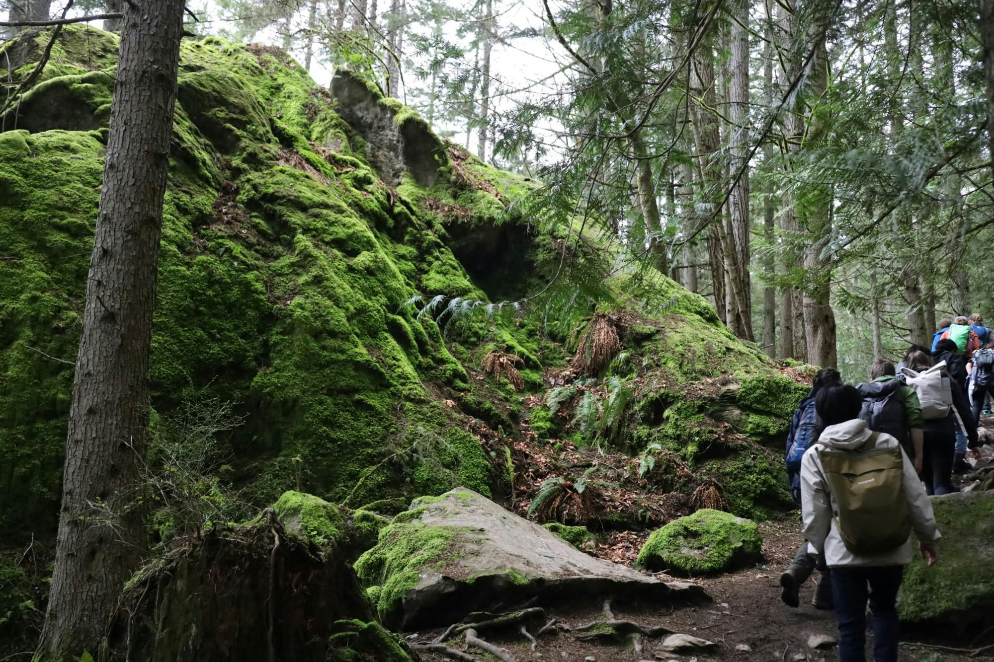 (3) Bellingham spring hiking guide.jpg