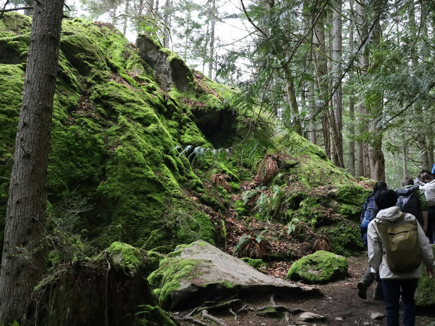 (3) Bellingham spring hiking guide.jpg