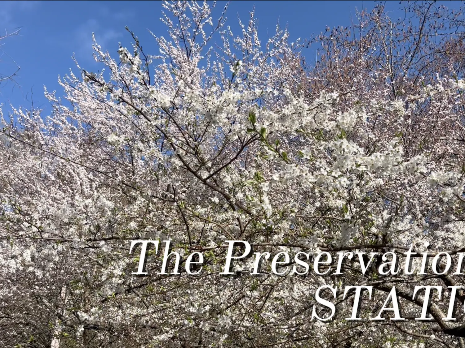 Screenshot 2026-04-03 at 11.03.37 AM.png