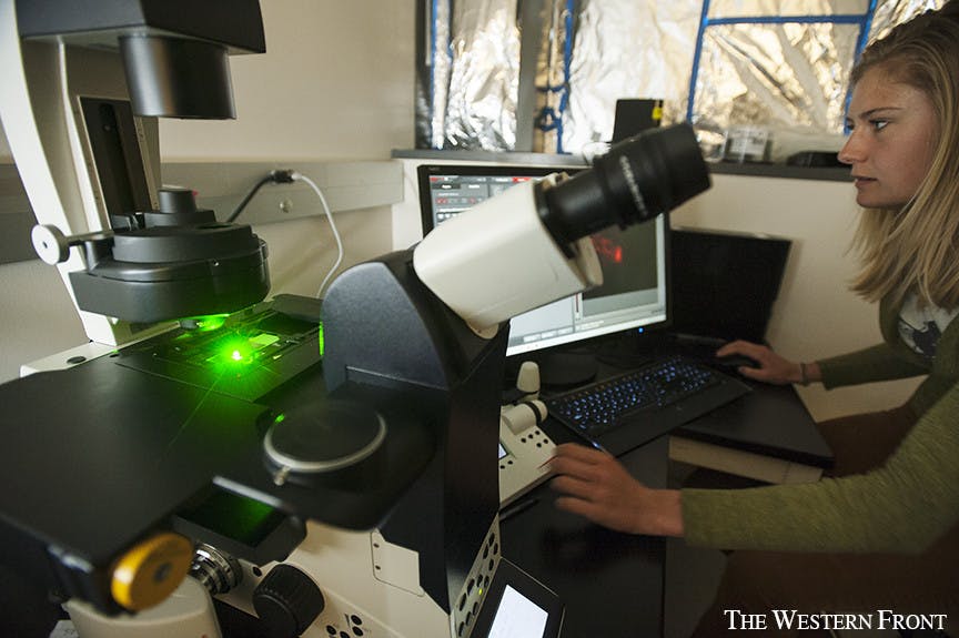 IK_Microscopy_140416_009-1