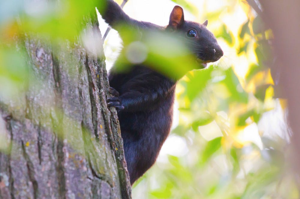 8033014047_284969aa6f_b1