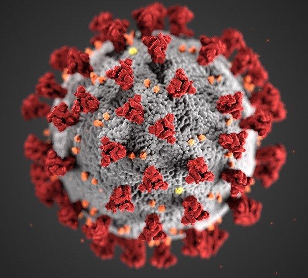 CDC-coronavirus-image-23311-for-web-e1586065589744