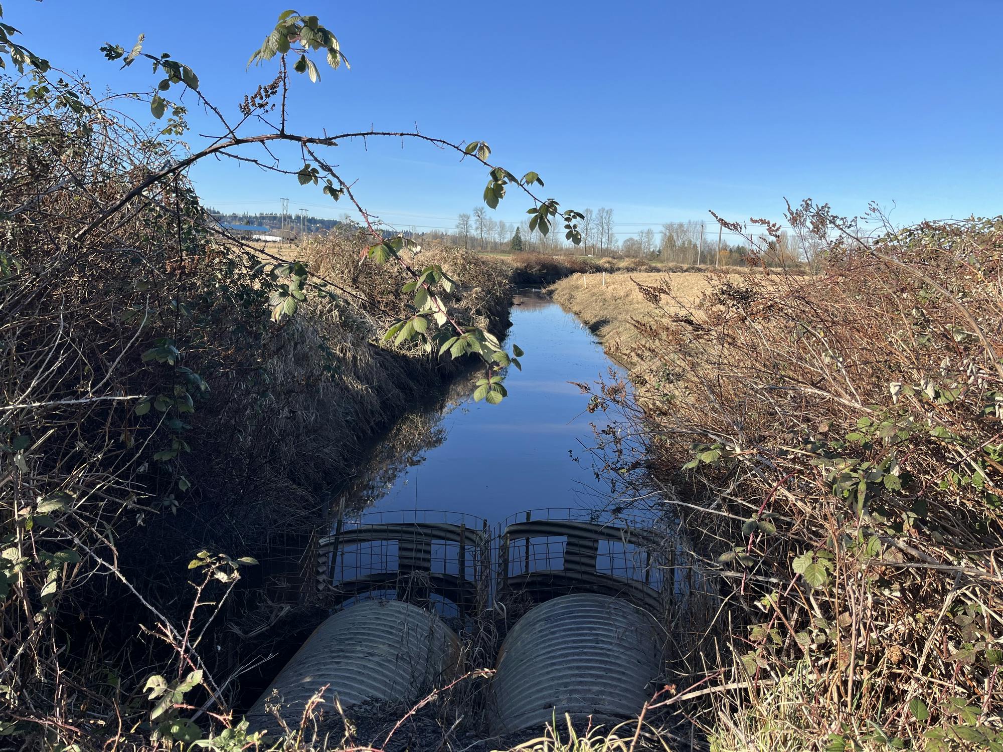 Culvert.HEIC