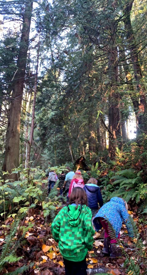 camp counselor header