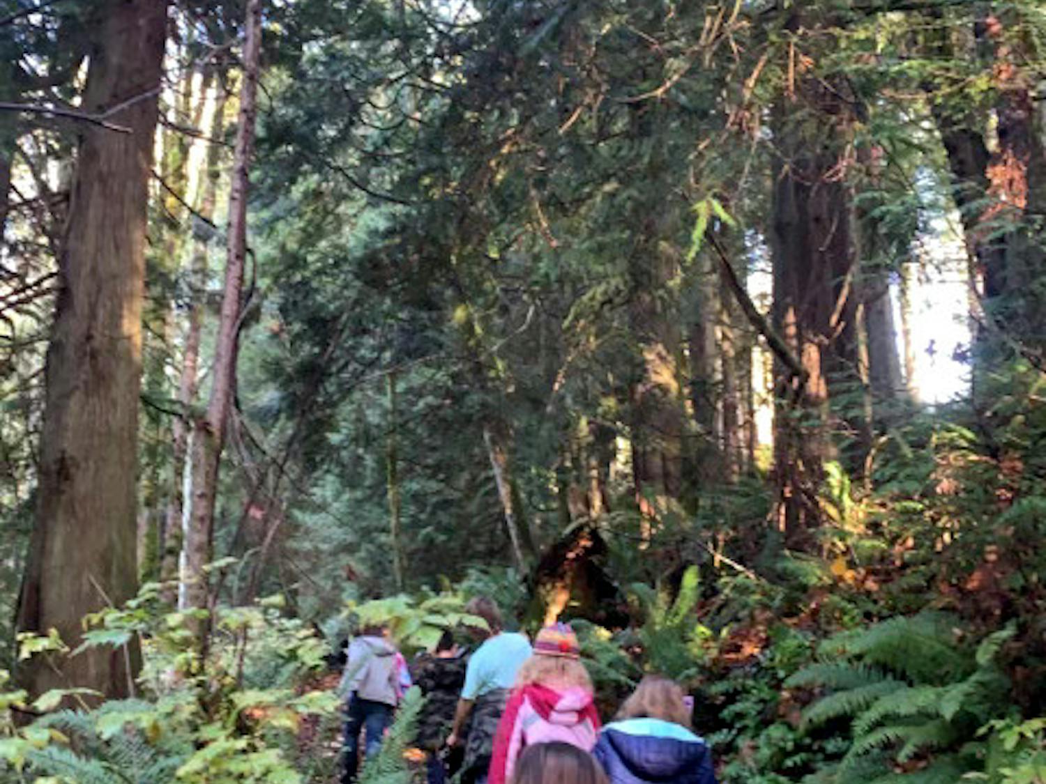 camp counselor header