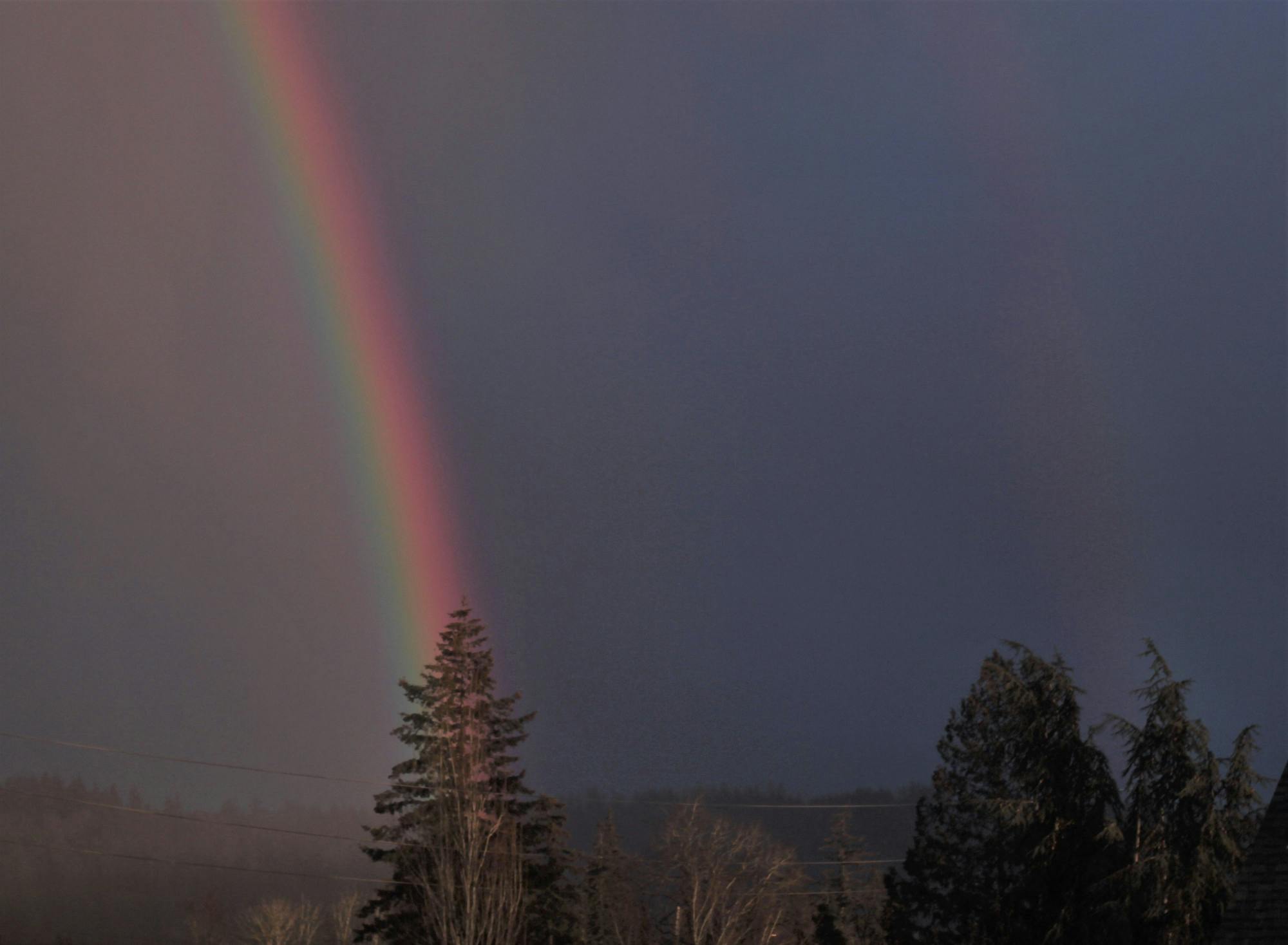 (1) Western’s Queer Eco Justice Club re-emerges after recent inactivity