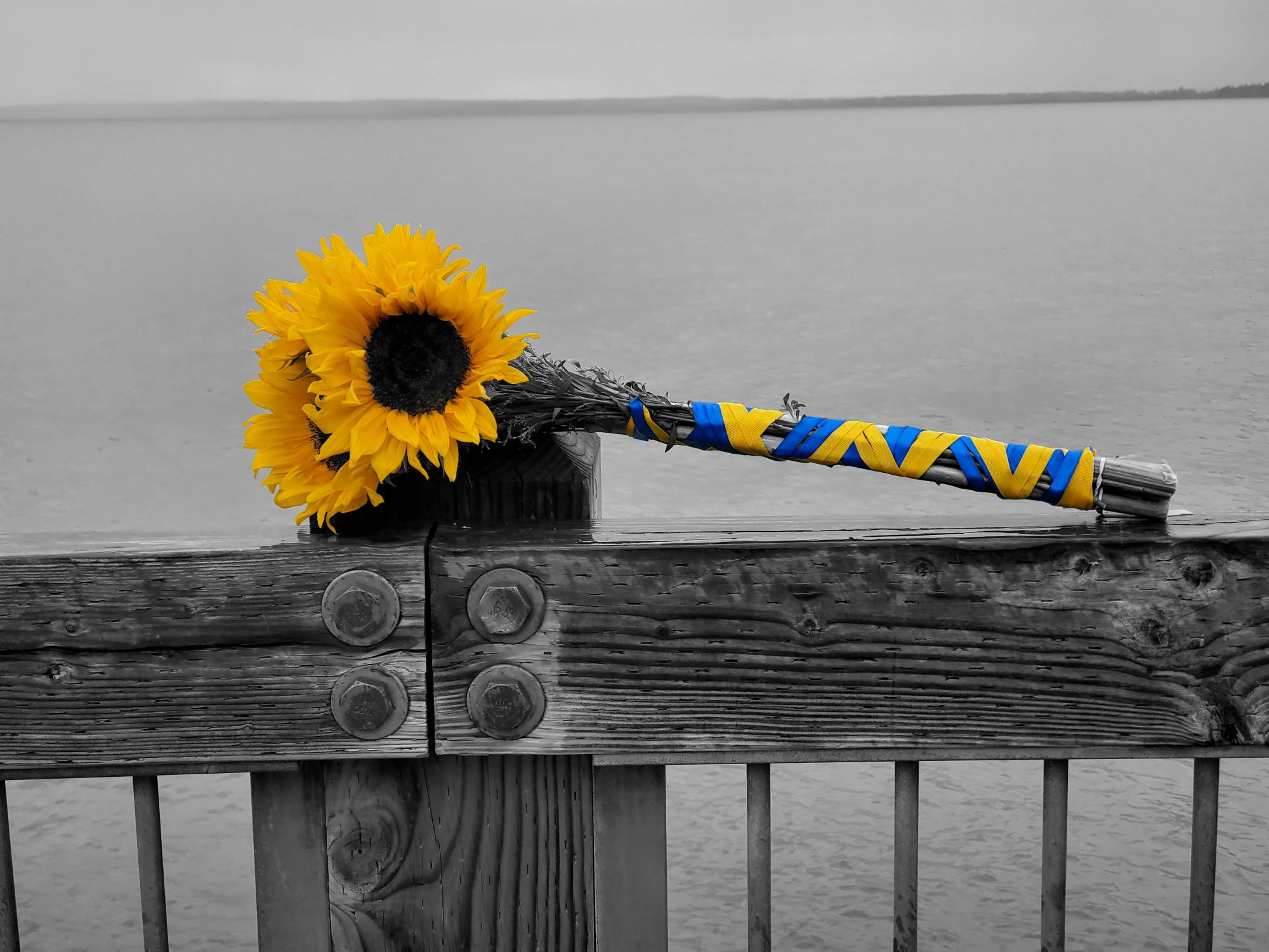UKRAINE THOUGHTS HEADER