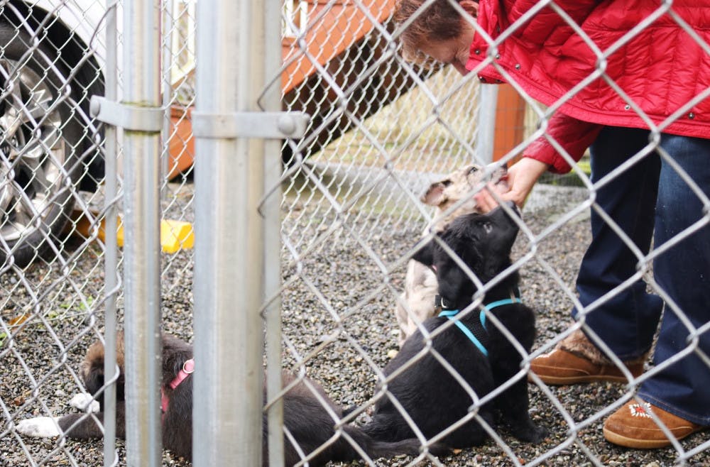 FD0B342D-0426-46D9-95DD-C271B2F42DFF