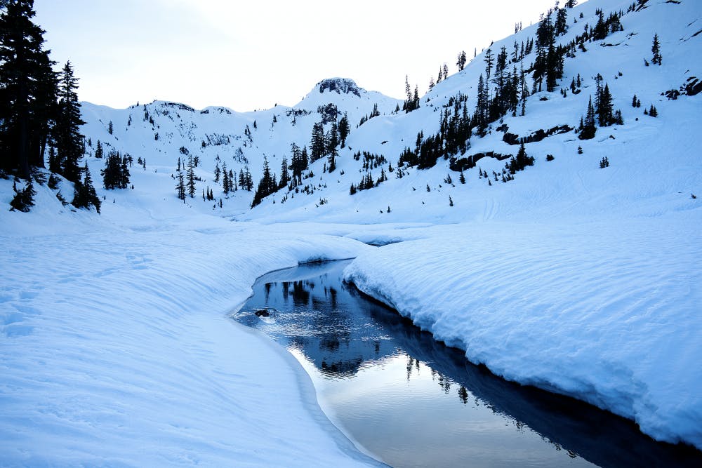 Screen-Shot-2020-02-03-at-4.14.27-PM