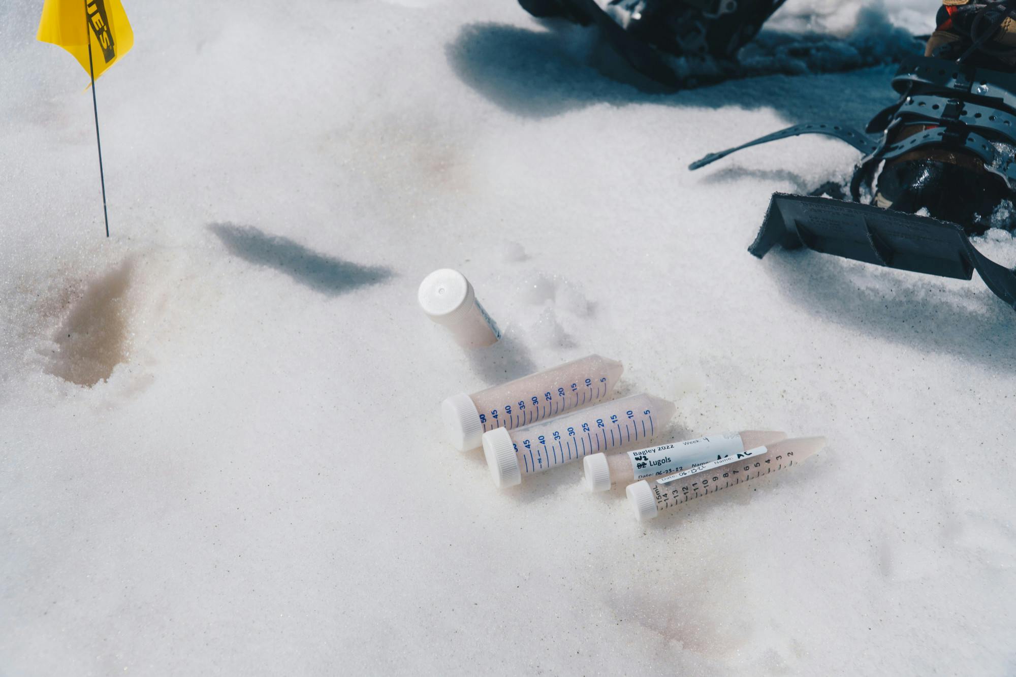 Living Snow Project 2022-Bagley Lake-24.jpg