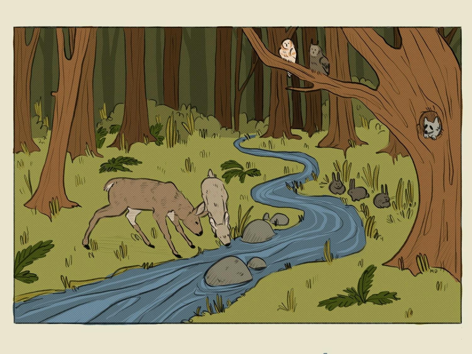 Forest illustration