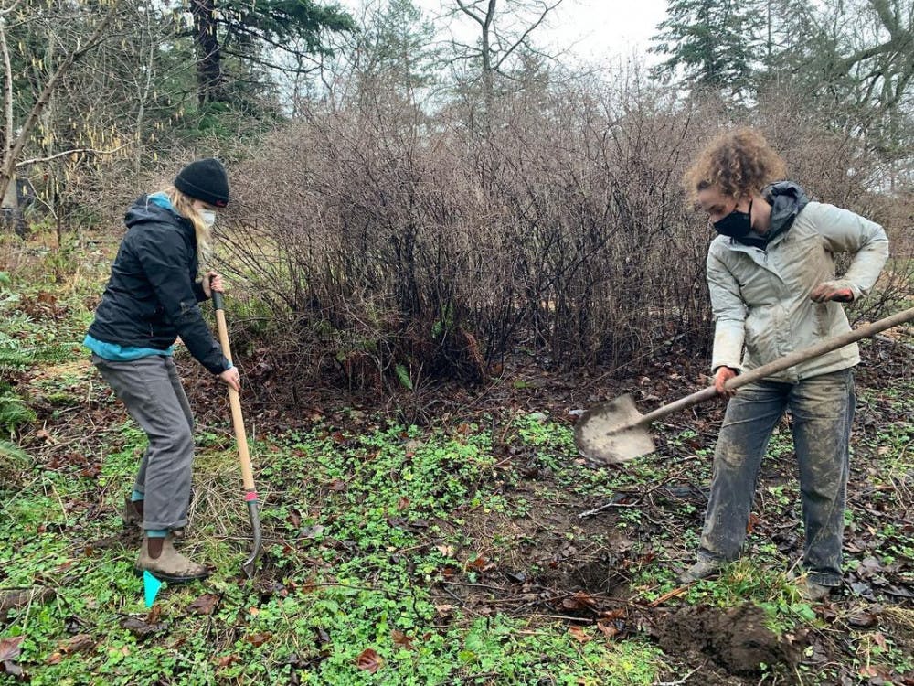 25EB9FD9-ECED-4AEB-B469-3497AAB7B730