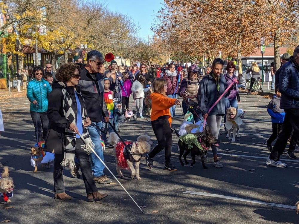 DogParade_2-scaled