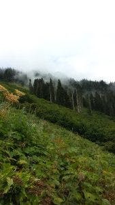 20150726_164127-e1438115069350-rotated