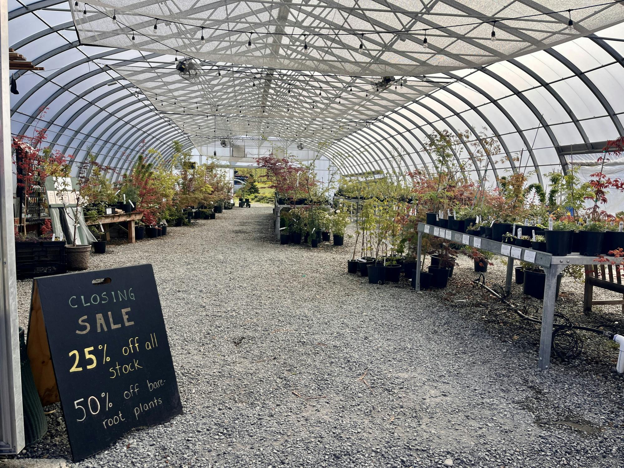 Interior of nursery.jpg