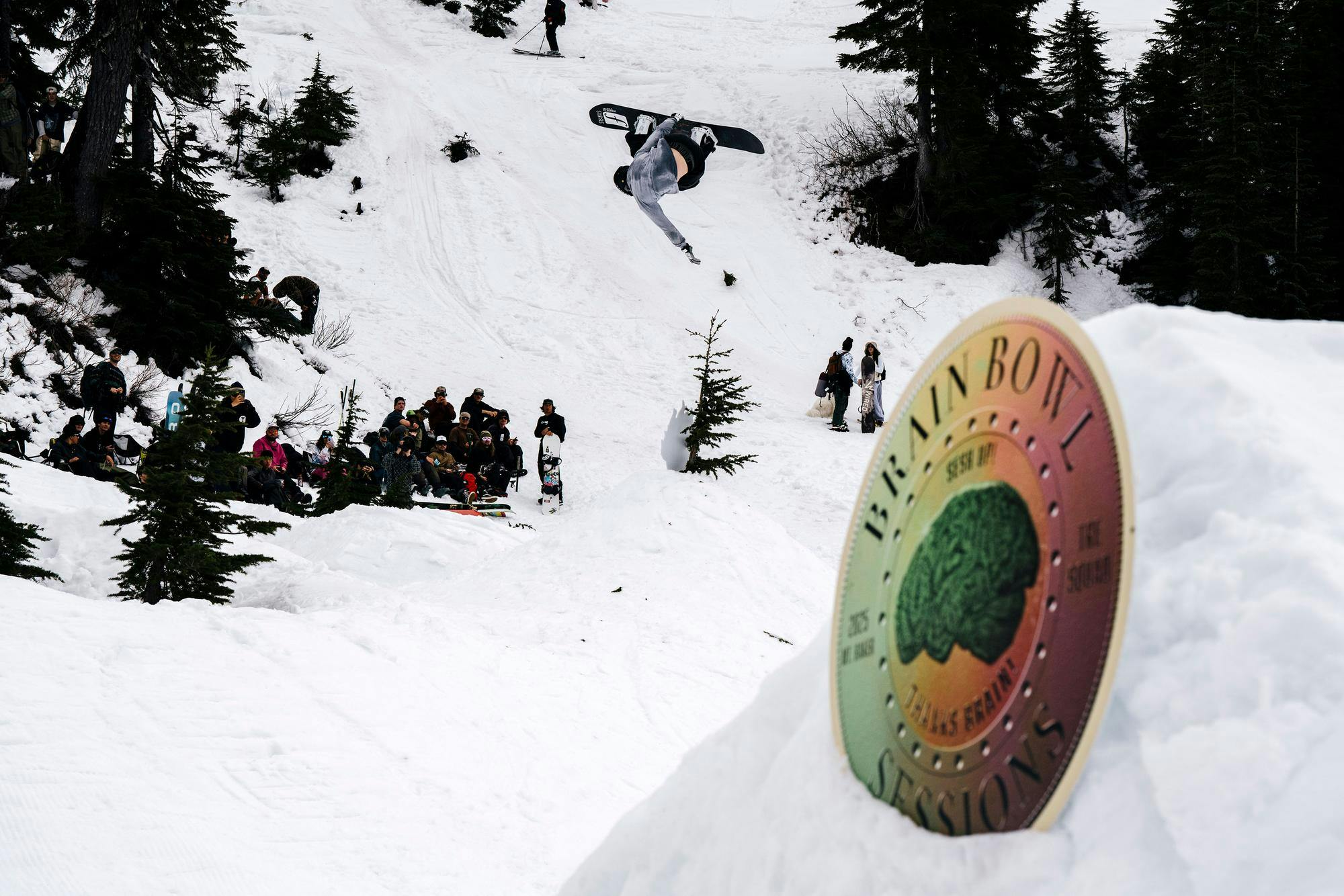 brainbowl2026gallery