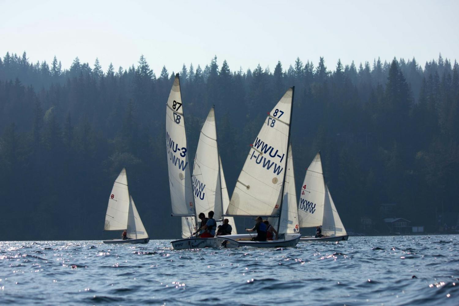 WWU’s student-run sailing team races against Stanford Gallery